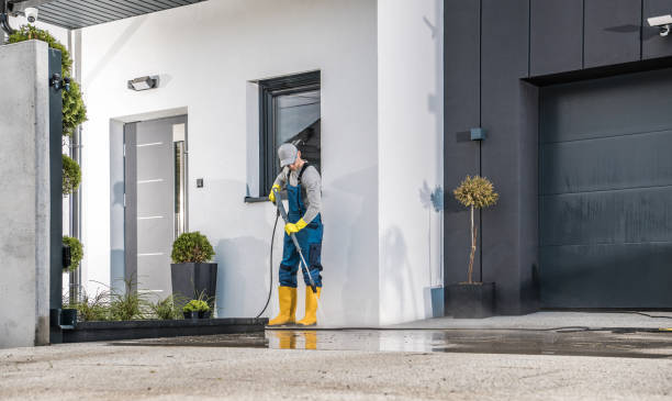 Best Sidewalk and Walkway Cleaning  in Rolla, MO